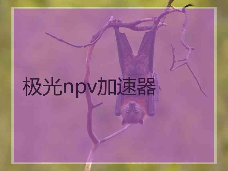 极光npv加速器