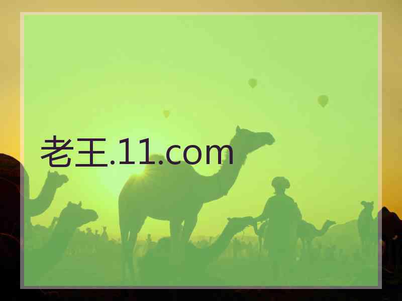 老王.11.com