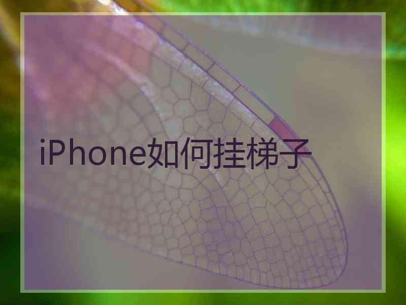 iPhone如何挂梯子