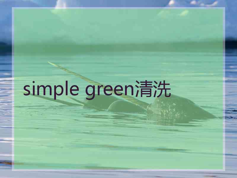 simple green清洗