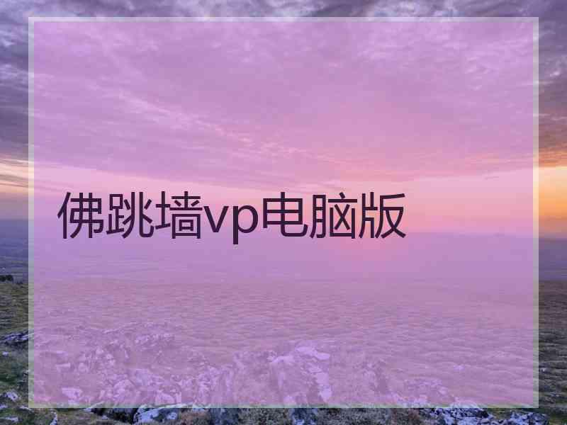 佛跳墙vp电脑版