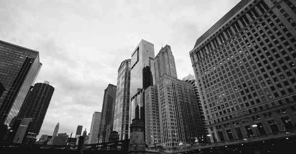 蜜蜂加速npv下载