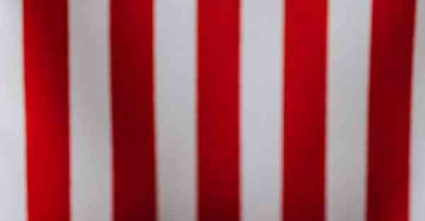 能看国外视频的浏览器