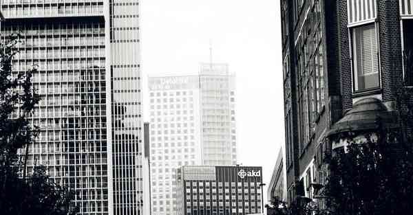 蜜蜂加速器官方网站