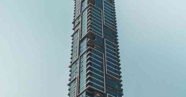 2023上网科学工具app