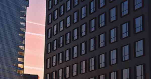 老王vp加速器官网