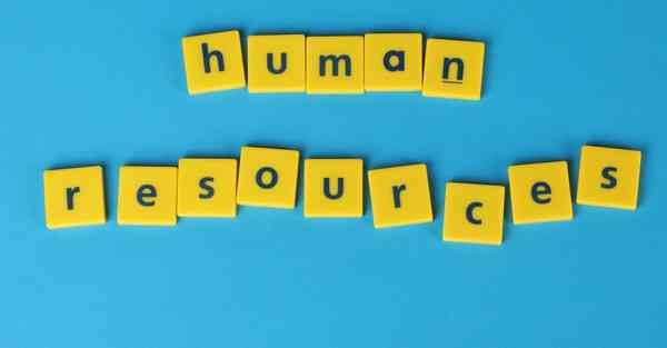 飞鱼加速器官方网下载