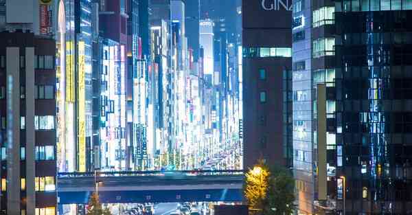 国内翻国外的app