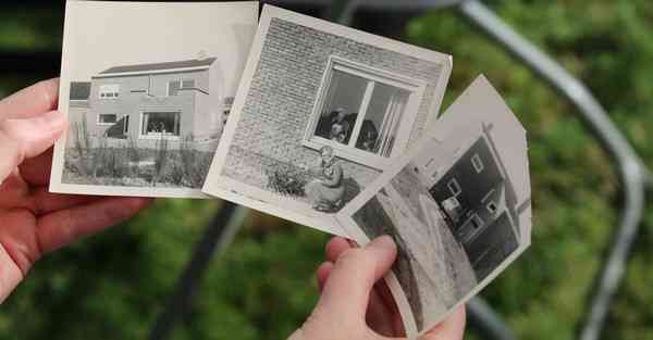 旋风加速器网站