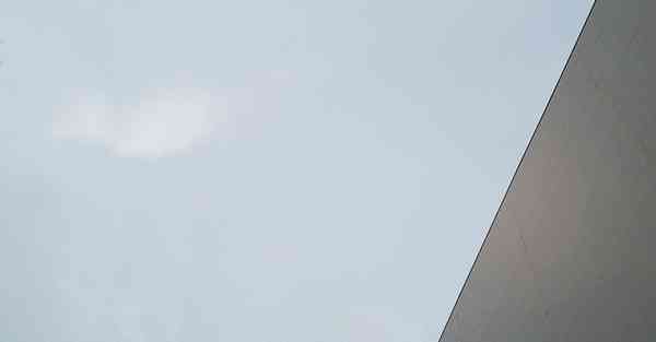 黑洞加速下载器永久免费