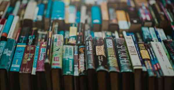 蒲公英vnp可以上ins