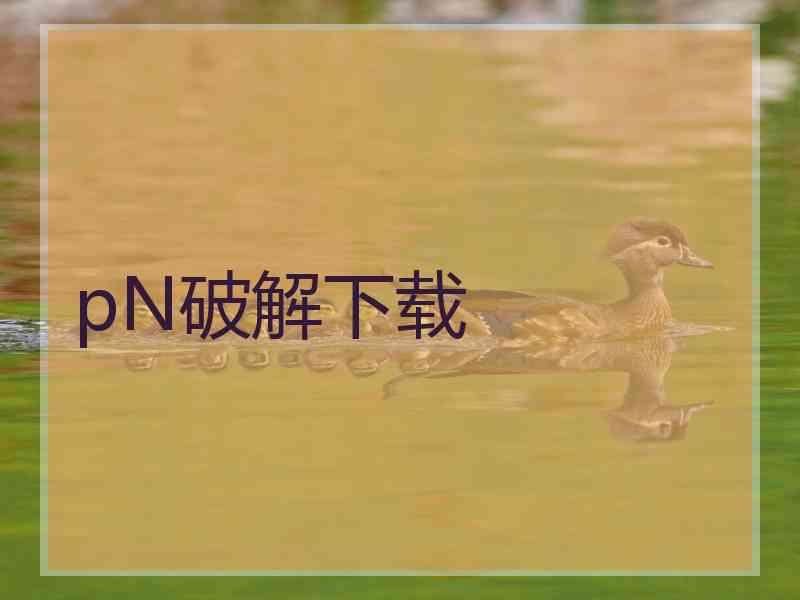 pN破解下载 pN破解下载