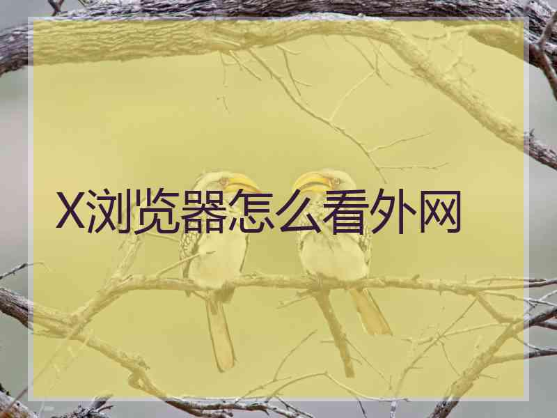 X浏览器怎么看外网 X浏览器怎么看外网