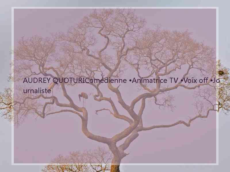 AUDREY QUOTURIComédienne •Animatrice TV •Voix off •Journaliste AUDREY QUOTURIComédienne •Animatrice TV •Voix off •Journaliste