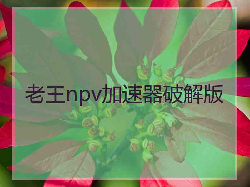老王npv加速器破解版 老王npv加速器破解版
