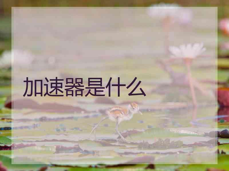 加速器是什么 加速器是什么