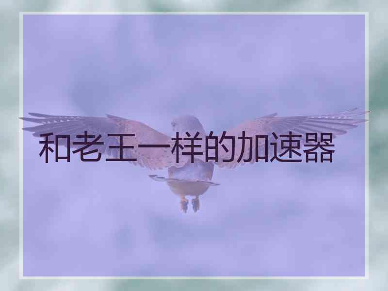 和老王一样的加速器 和老王一样的加速器