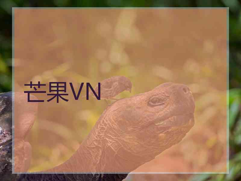 芒果VN 芒果VN