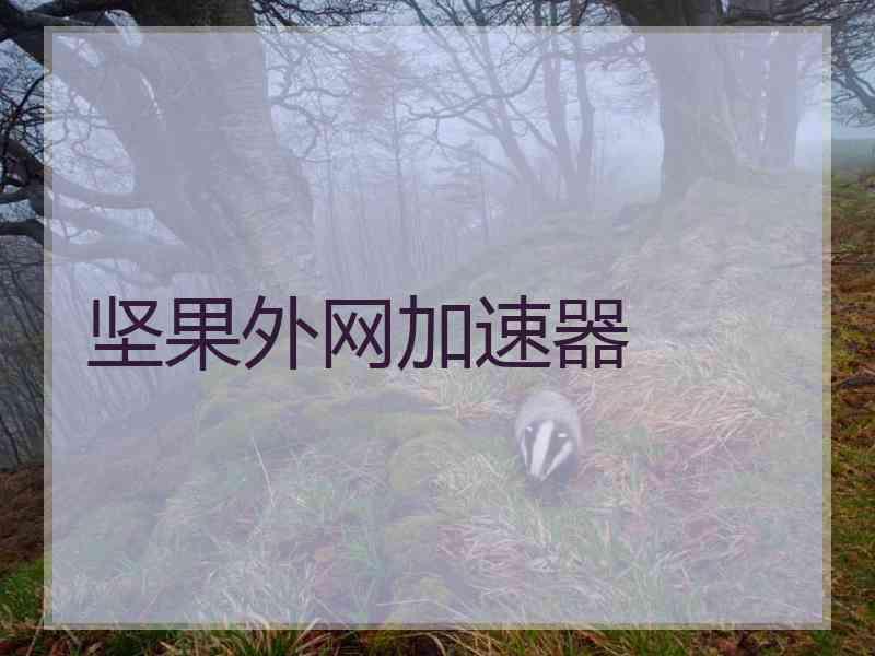 坚果外网加速器 坚果外网加速器