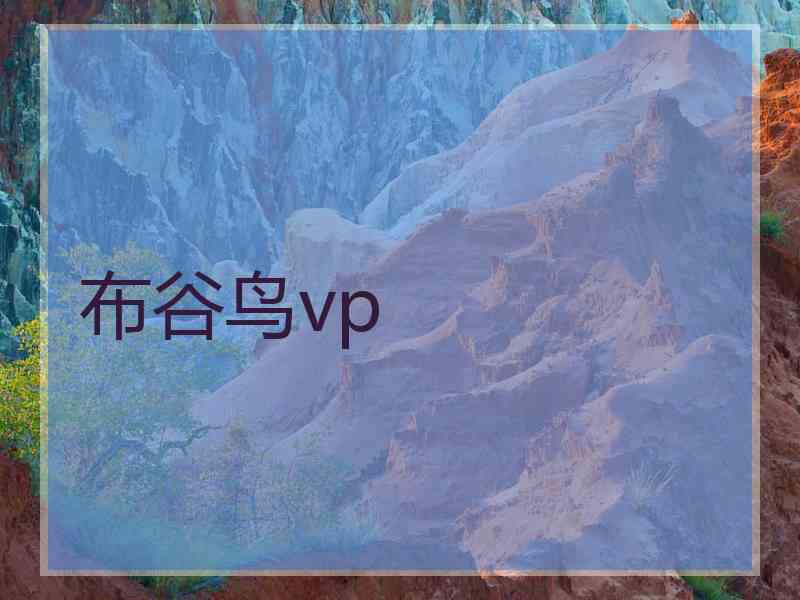布谷鸟vp 布谷鸟vp