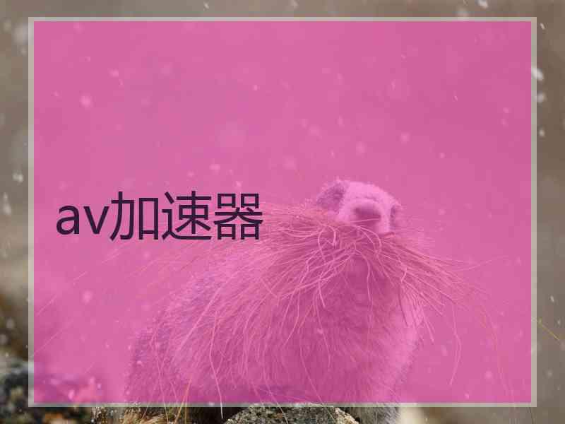 av加速器 av加速器