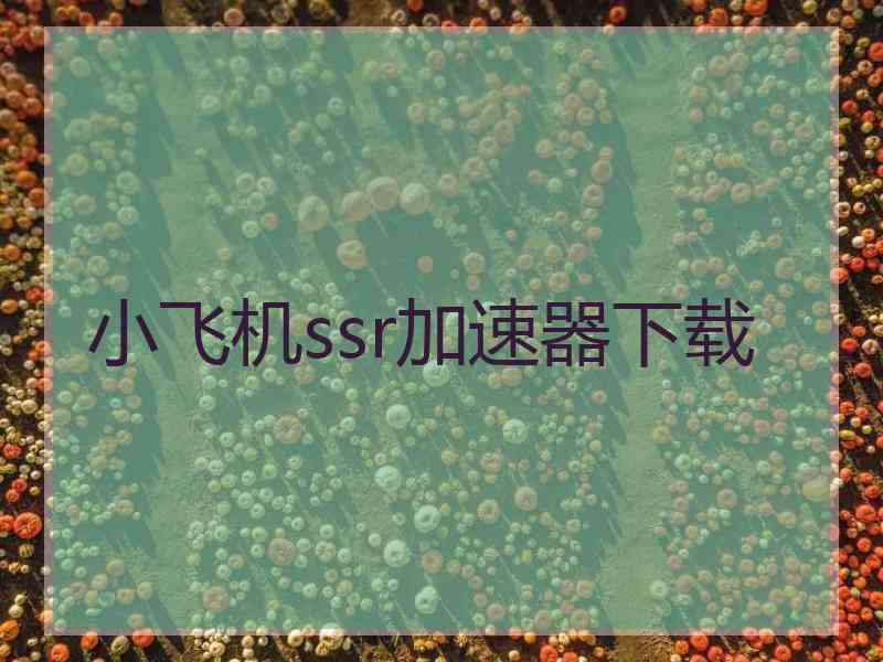 小飞机ssr加速器下载 小飞机ssr加速器下载