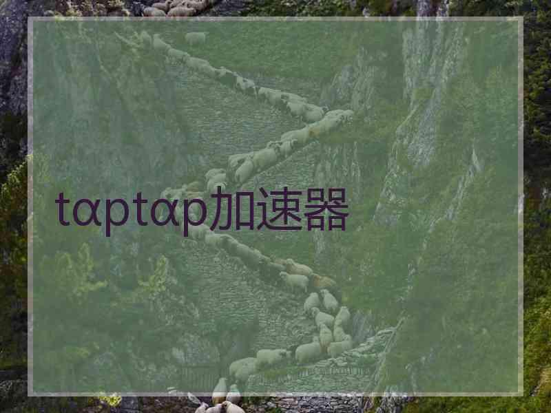 tαptαp加速器 tαptαp加速器