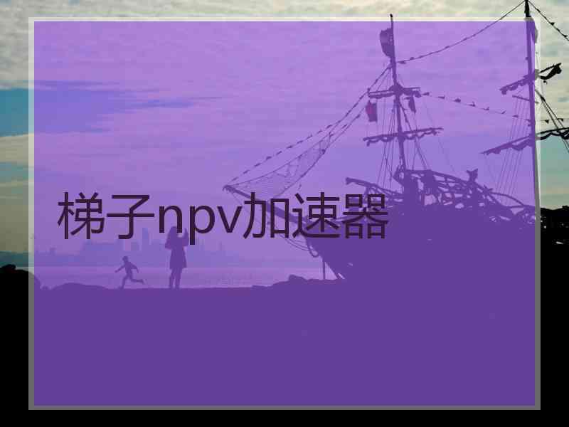 梯子npv加速器 梯子npv加速器